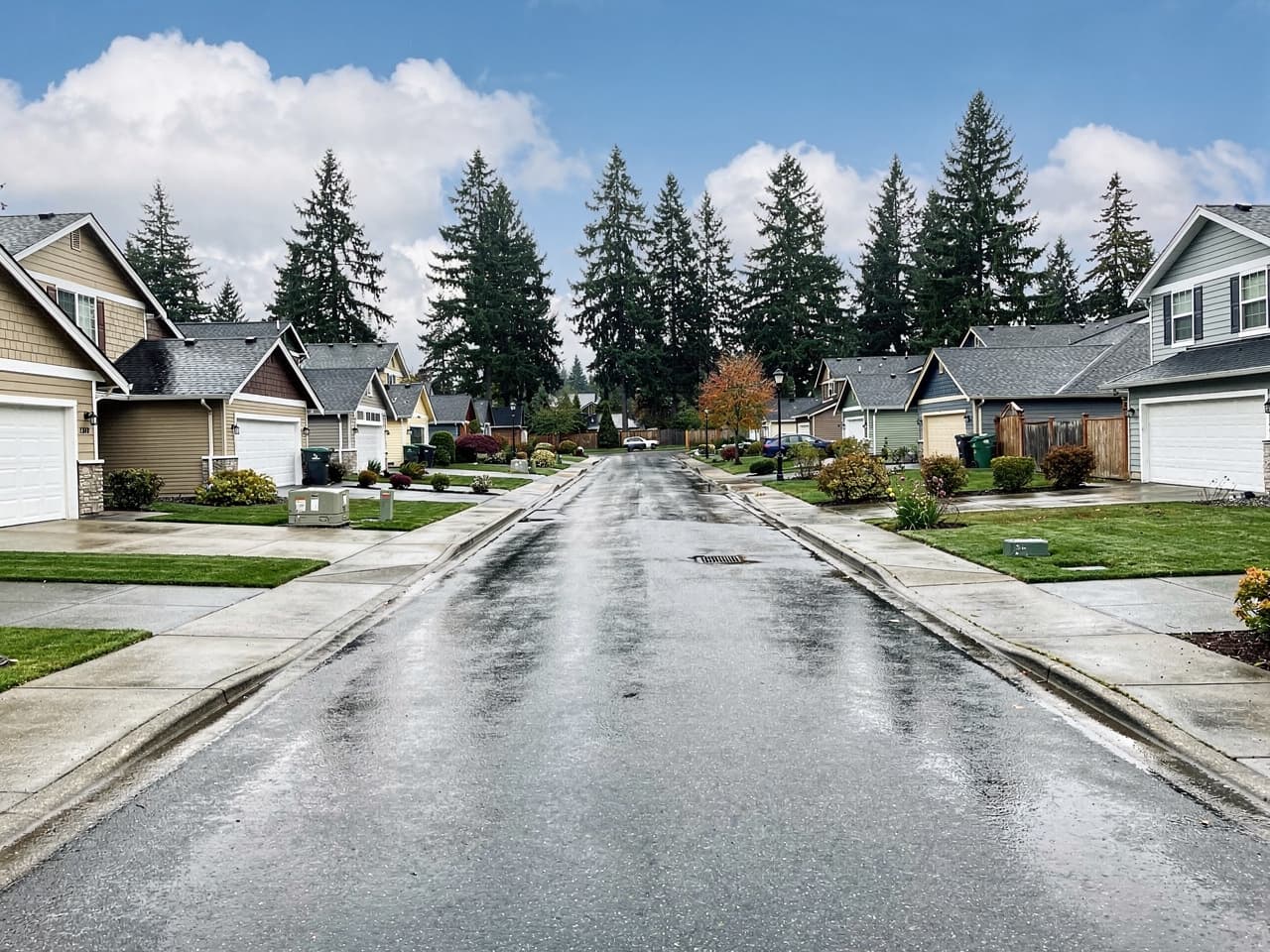 A quiet Pacific Northwest neighborhood street after the rain