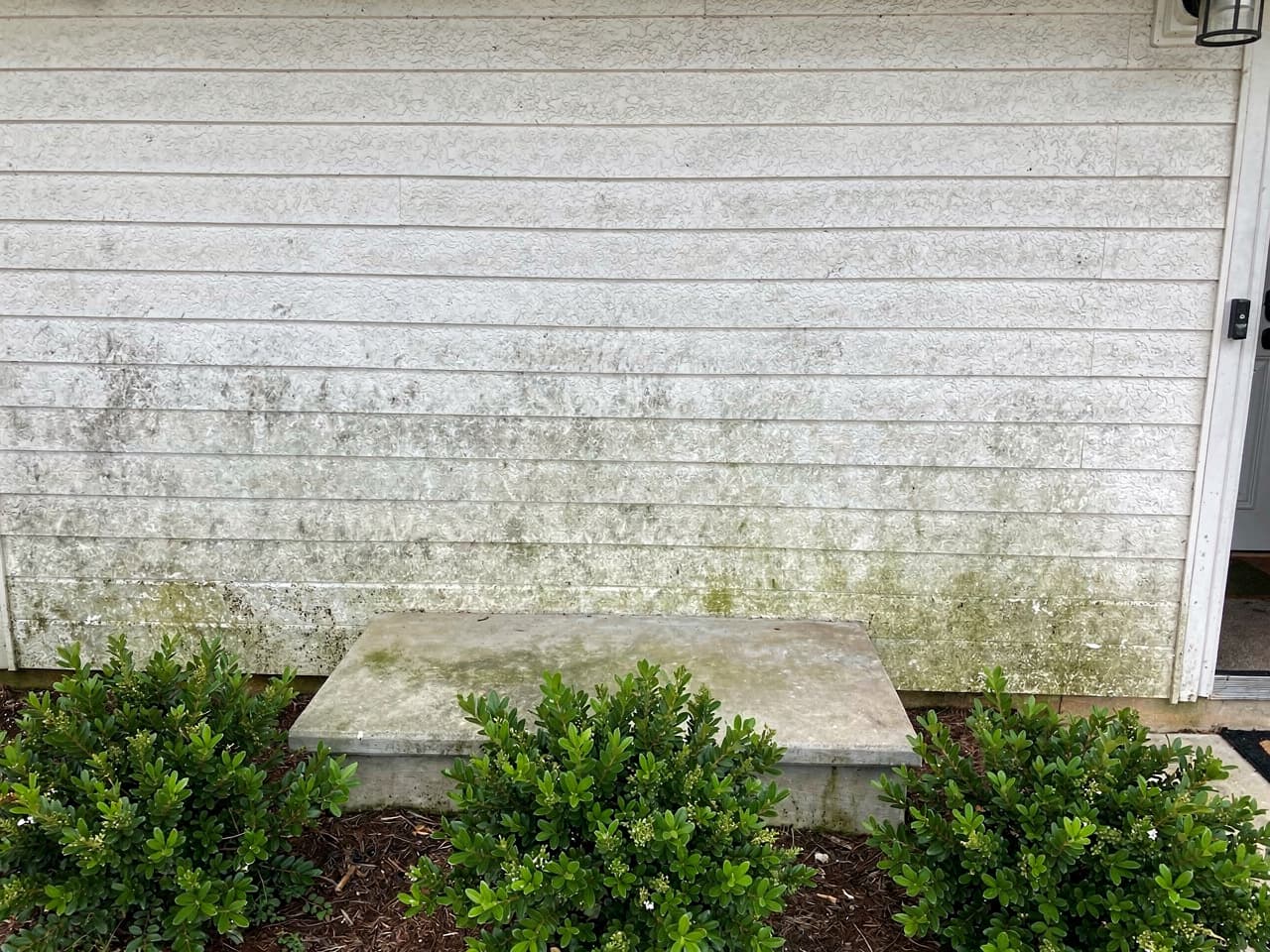 A home's entry wall dingy with dirt film and mildew haze before soft washing