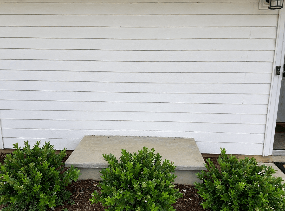 Soft Washing by Brisk Pressure Washing